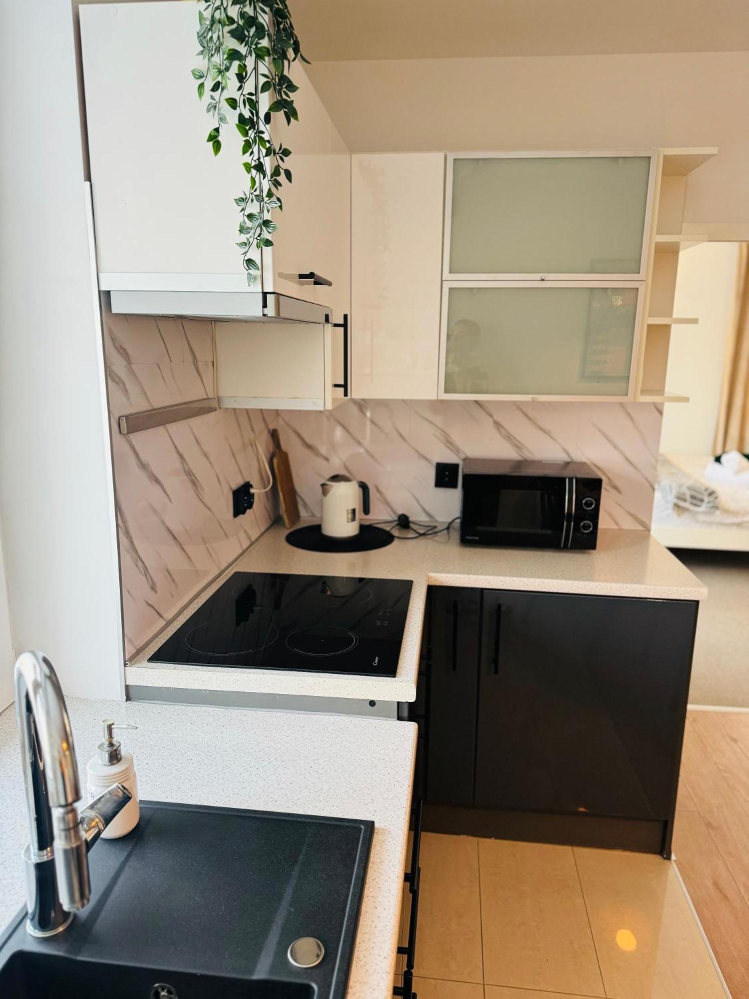 מישלניצה Villa Vincentow מראה חיצוני תמונה